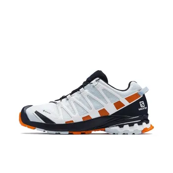 SALOMON XA Pro 3D V8 Running Shoes Women's Low-Top White