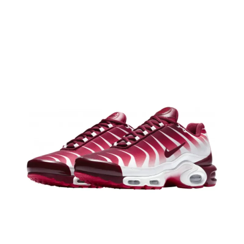 Nike Air Max Plus After The Bite-2