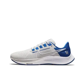 Nike Air Zoom Pegasus 38 Kentucky