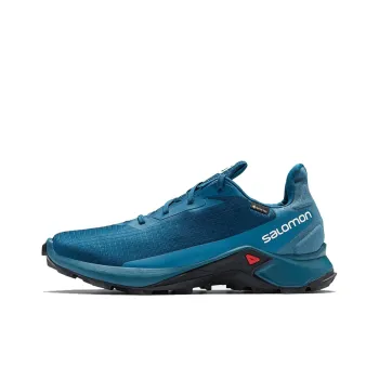 SALOMON Wear-resistant And Waterproof Low-Top Trail Running Running Shoes Men's Blue