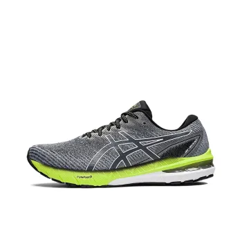 Asics GT 2000 10 Carrier Grey White