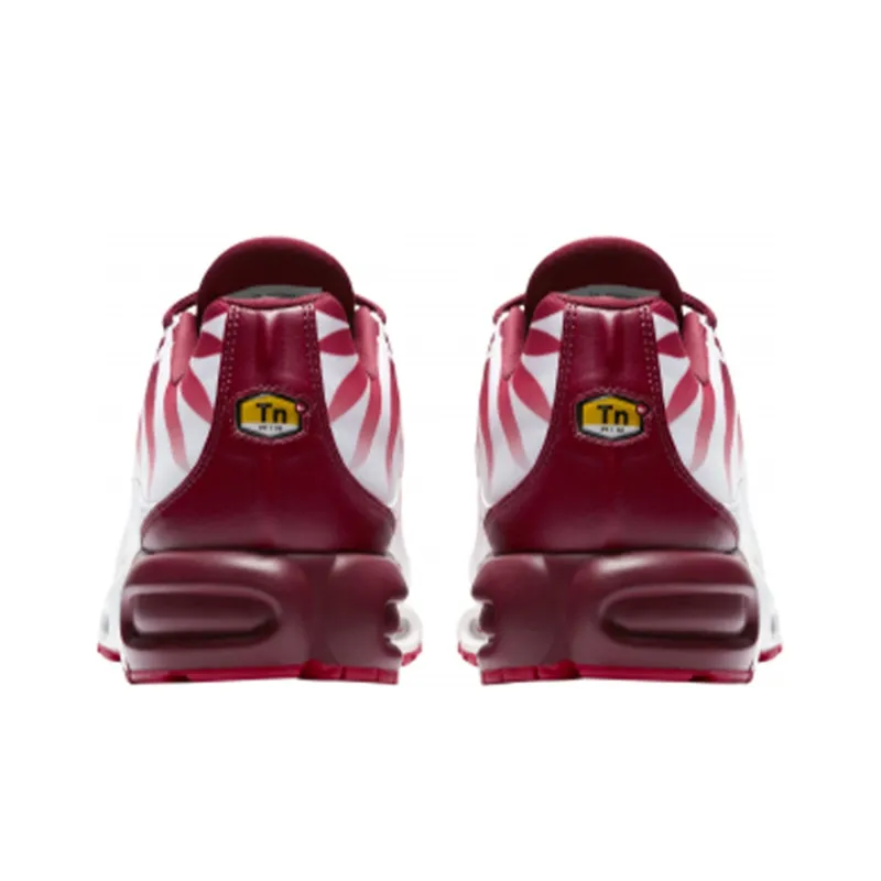 Nike Air Max Plus After The Bite-4