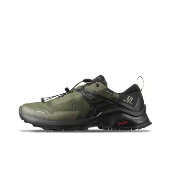 SALOMON X Raise Gtx 'Grape Leaf' / L00