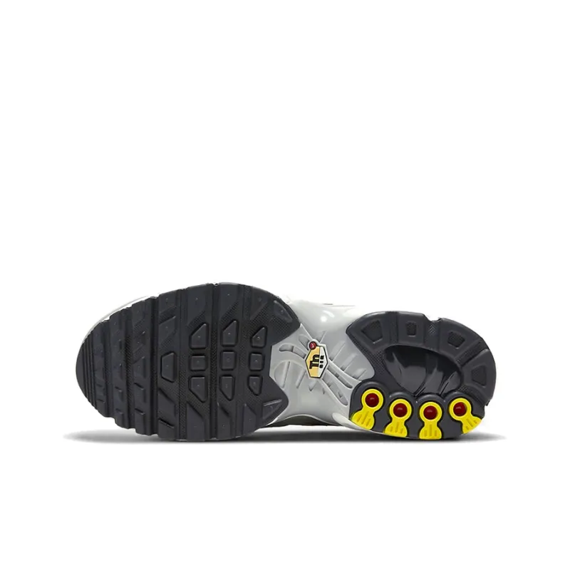 Nike Air Max Plus Dark Smoke Grey GS-5