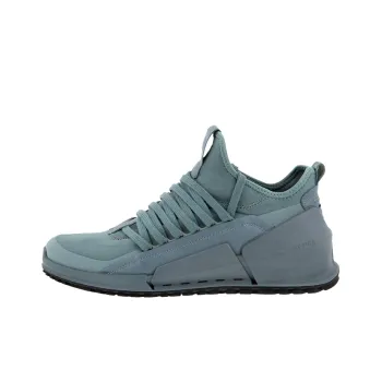 Ecco Biom 2.0 Low Te Low Top Casual Shoes Men's Blue