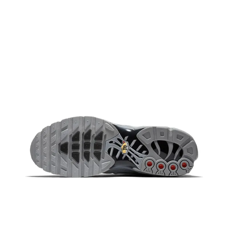 Nike Air Max Plus Wolf Grey-5
