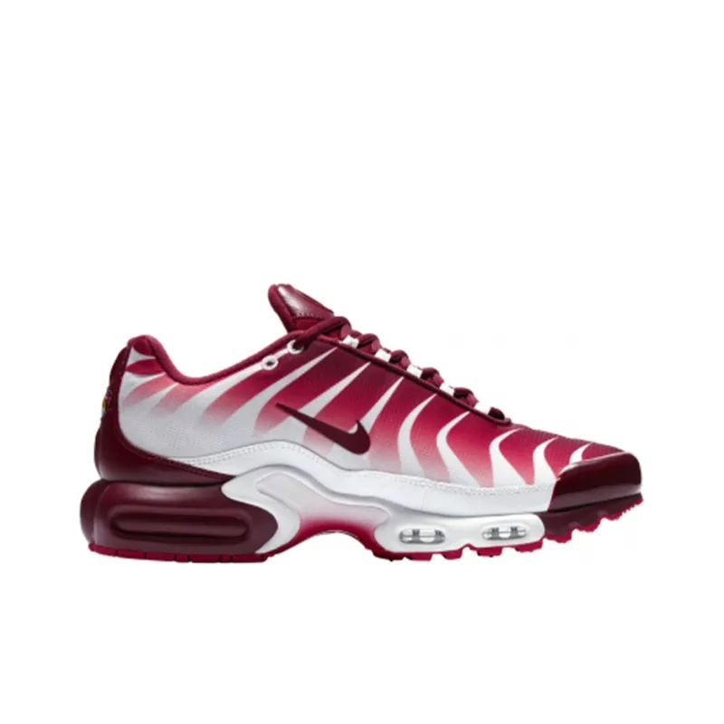 Nike Air Max Plus After The Bite-1