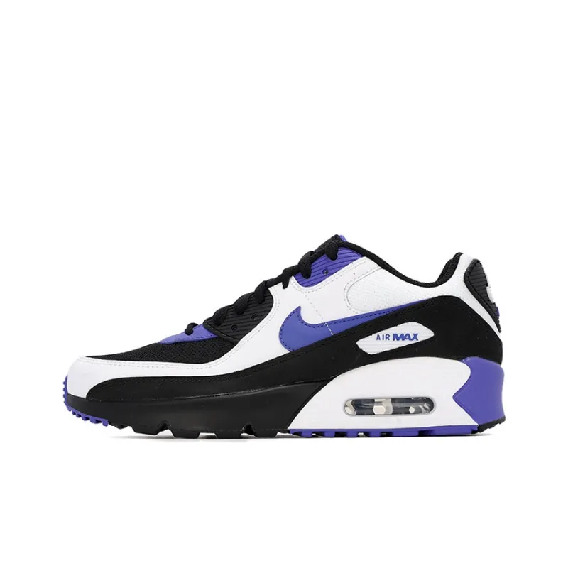 Nike Air Max 90 LTR Persian Violet GS-0