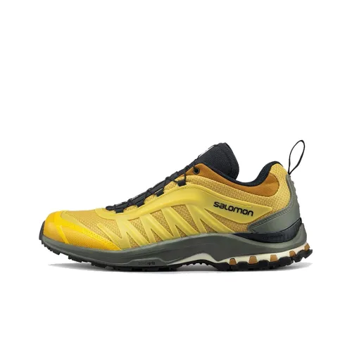 SALOMON XA-Pro Fusion ADV 'Arrowwood'