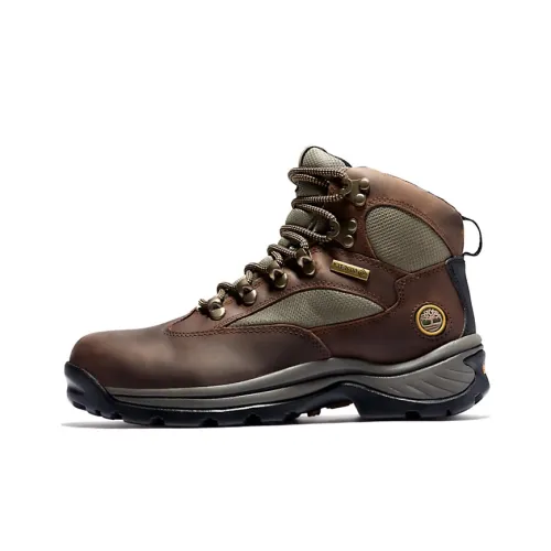 Timberland Chocorua Hiking / Trekking Shoes Women's High-Top Brown