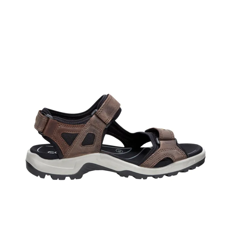 Ecco Beach Sandals Men Brown-1