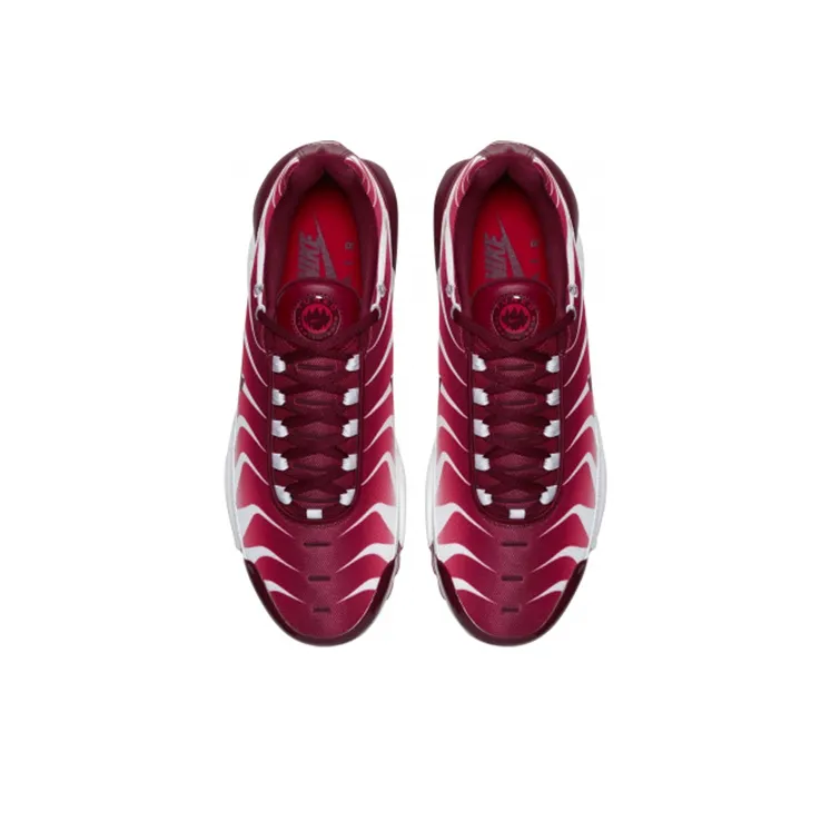 Nike Air Max Plus After The Bite-3