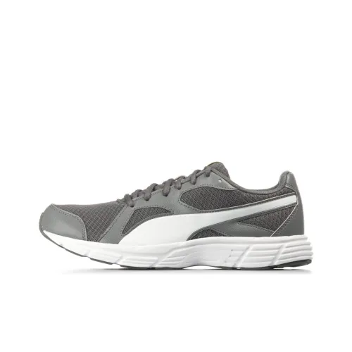 PUMA Axis V4 Grid Durable Cushioning Low-Top Running Shoes Men's Gray White