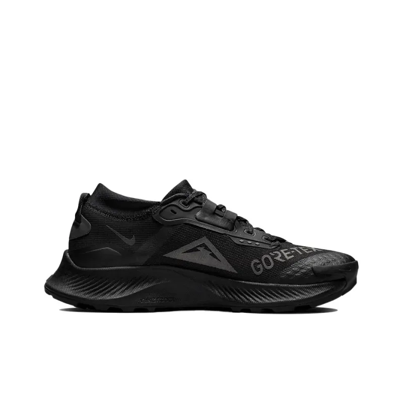 Nike Pegasus Trail 3 Gore Tex Black Dark Smoke Grey Women's-1
