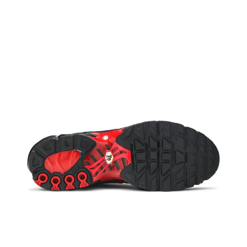 Nike Air Max Plus Bred-3
