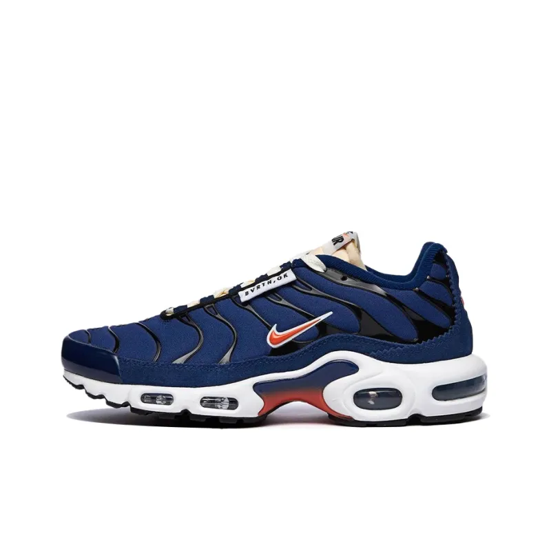 Nike Air Max Plus Se Air Max Running Club-0