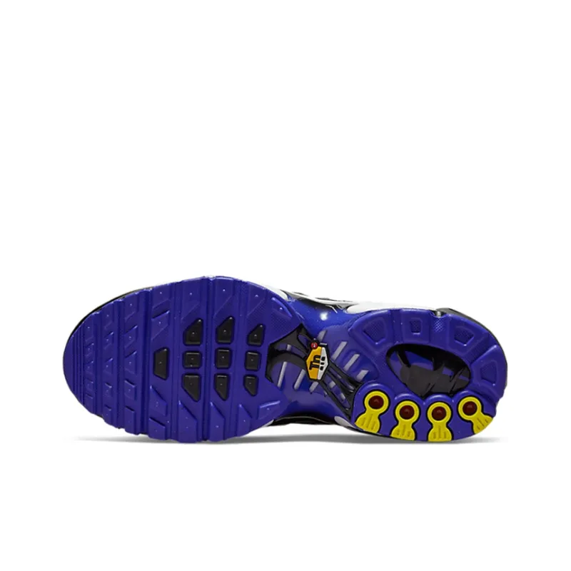Nike Air Max Plus Persian Violet GS-5