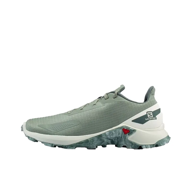 SALOMON ALPHACROSS Anti-Slip And Wear-Resistant Breathable Low-Top Casual Shoes Men's Gray Green-0