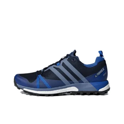 Adidas Terrex Agravic GTX Wear-Resistant Slip-Resistant Low-Top Running Shoes Men's Blue Black