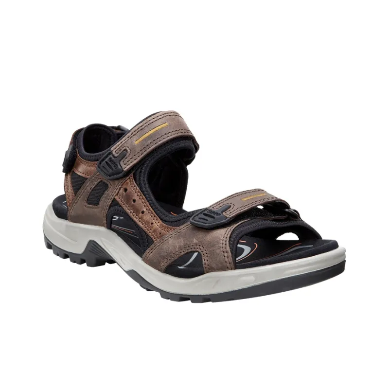 Ecco Beach Sandals Men Brown-2