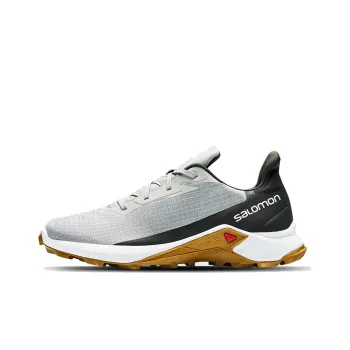 SALOMON Low-Top Running Shoes Men's Gray