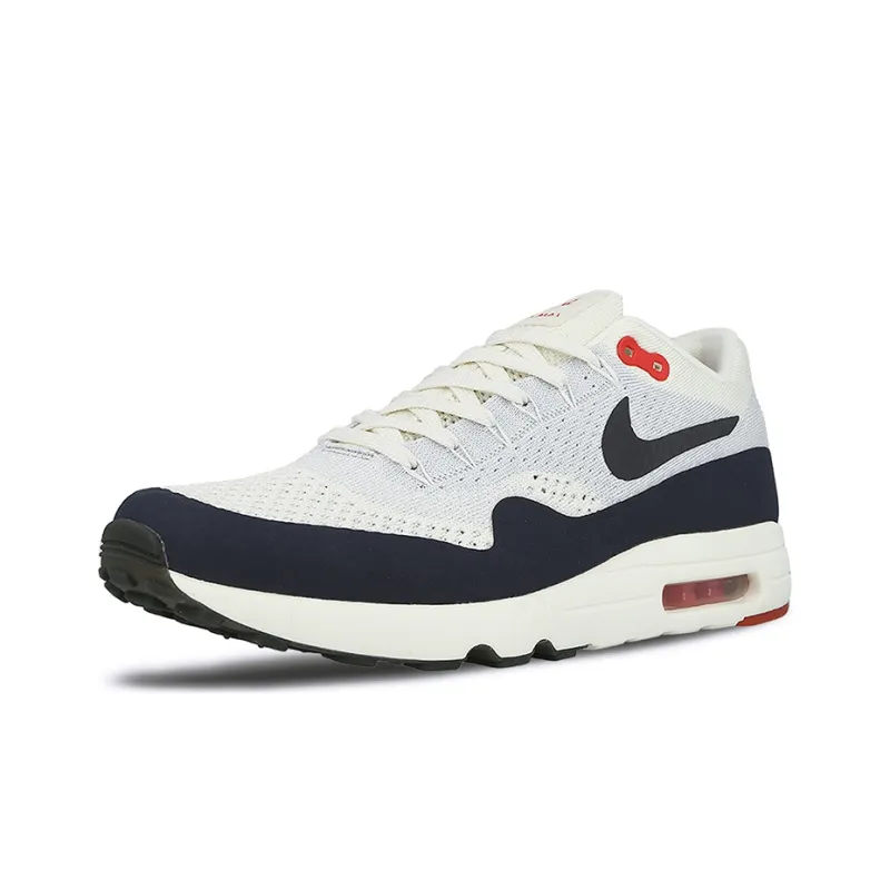 Nike Air Max 1 Ultra 2.0 Flyknit Usa-2