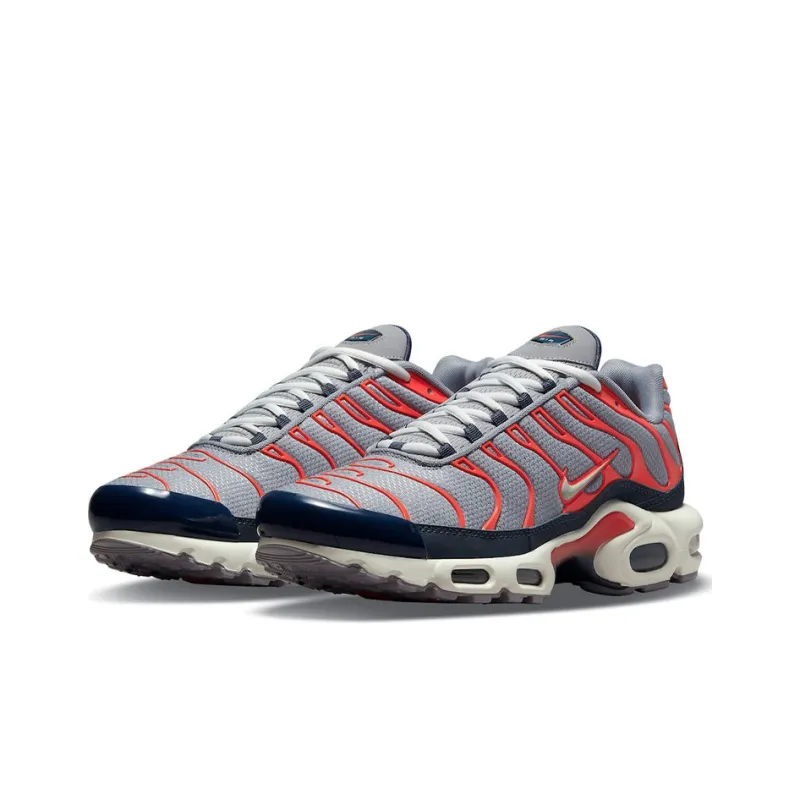 Nike Air Max Plus Usa Grey-1