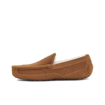 UGG Ascot Corduroy Ii 'Chestnut'