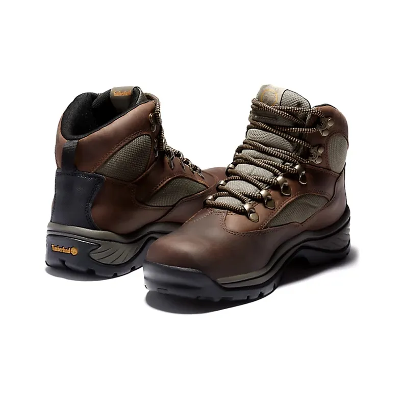 Timberland Chocorua Gore tex Hiking Boots 'Brown' Women's-1