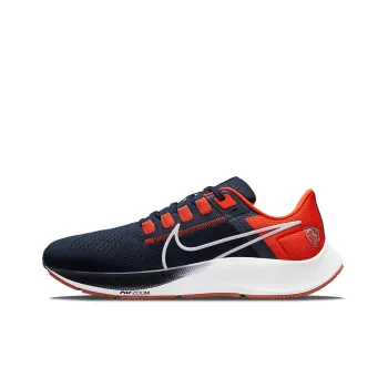 Nike Air Zoom Pegasus 38 Chicago Bears
