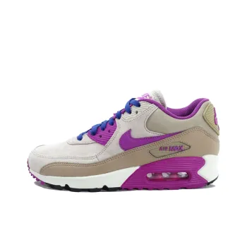 Nike Air Max 90 Leather 'Dsrt Cm' Women's