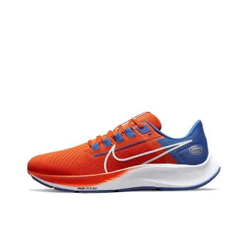 Nike Air Zoom Pegasus 38 'Florida'