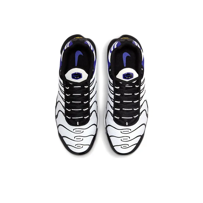 Nike Air Max Plus Persian Violet GS-3