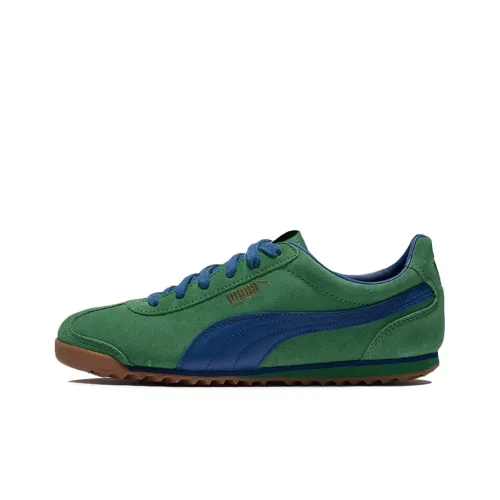 PUMA Arizona OG Casual Shoes Unisex Low-Top Green/Blue/Brown