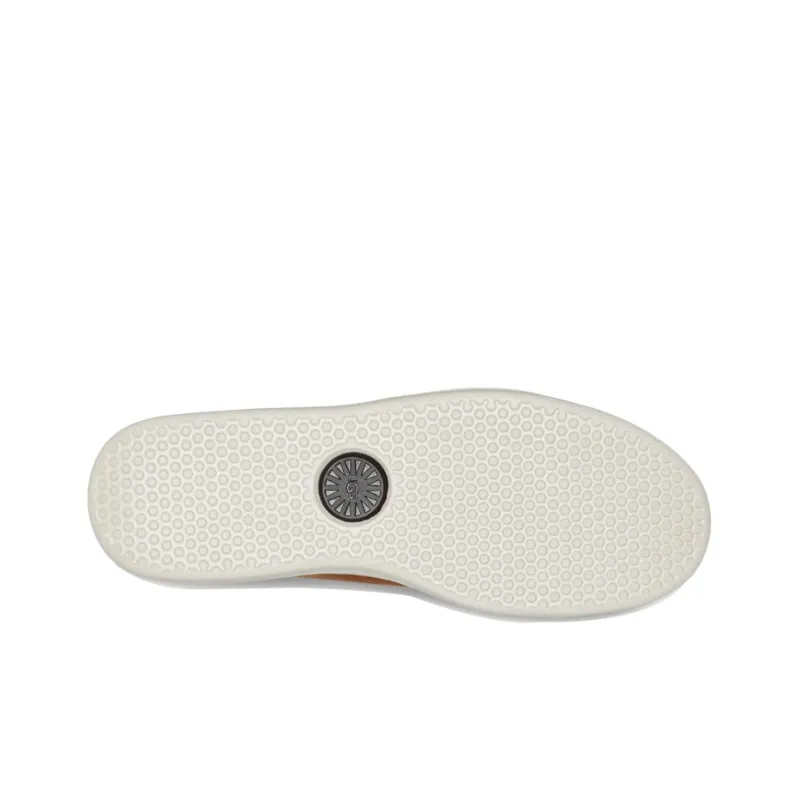 UGG Pismo Skateboard Shoes Men Low-Top Chestnut-5