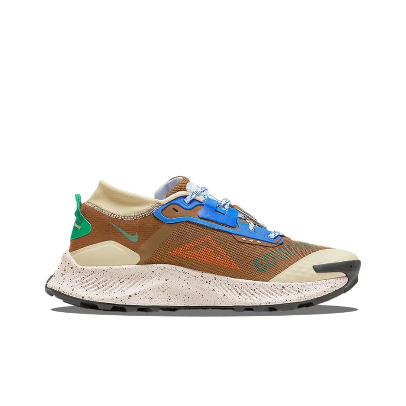 Nike Pegasus Trail 3 Gore Tex Es I Love Trail Brown-1