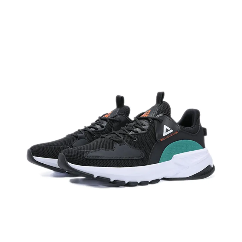 PEAK Sports Lifestyle Collection Anti Slip Wear Resistant Low Top Casual Shoes Men's Black Blue-2