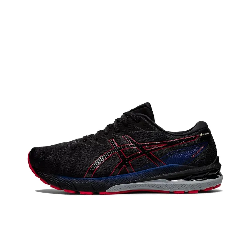 Asics GT 2000 10 Gtx Graphite Grey-0
