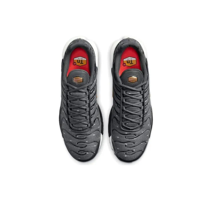 Nike Air Max Plus Denim Twill-2