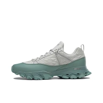 Dmx Trail Shadow Reebok 'Green Slate'
