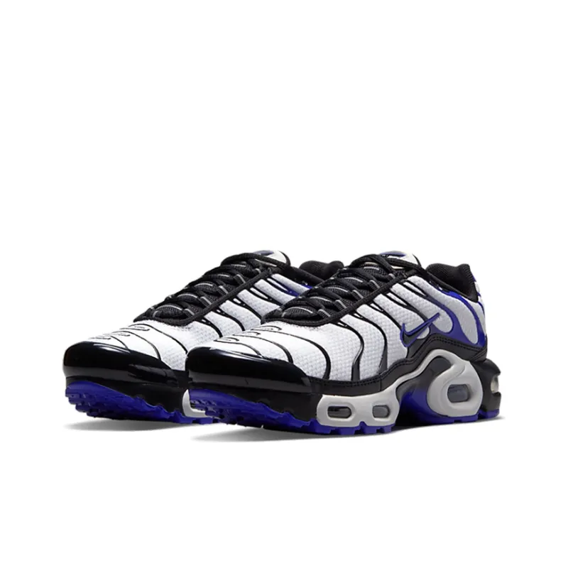 Nike Air Max Plus Persian Violet GS-2