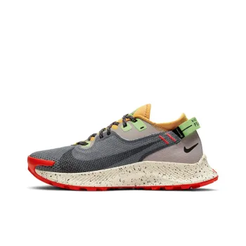 Nike Pegasus Trail 2 Gore Tex Smoke Grey Bucktan Women's