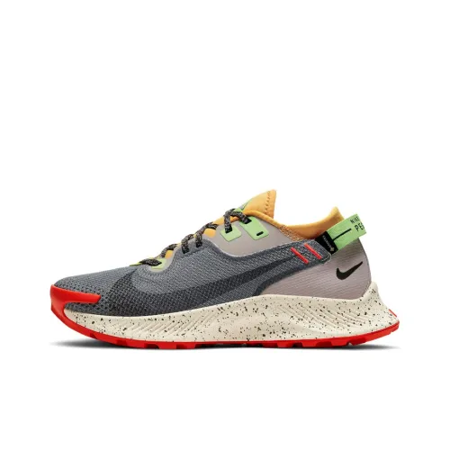 Nike Pegasus Trail 2 Gore-Tex Smoke Grey Bucktan Women's