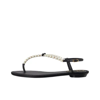 RENE CAOVILLA Eliza Sandal Women's Black
