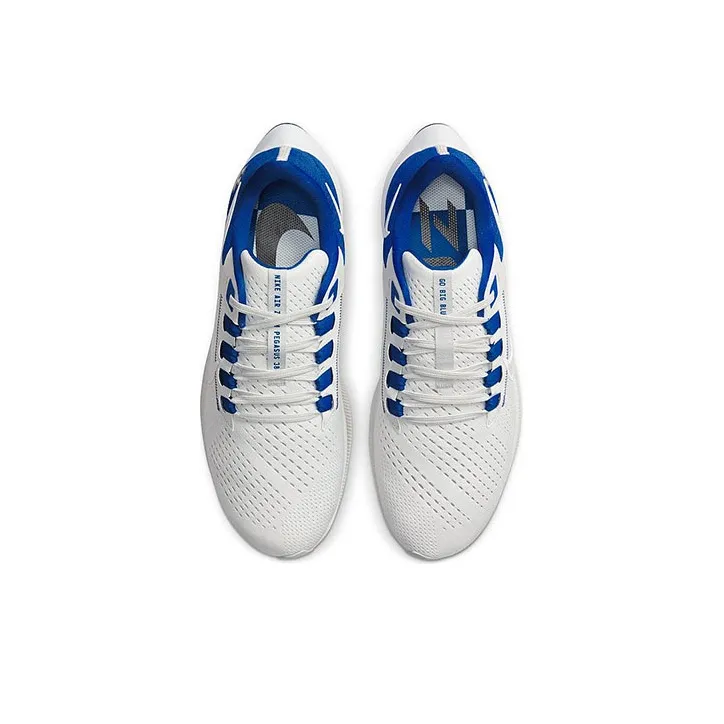 Nike Air Zoom Pegasus 38 Kentucky-2