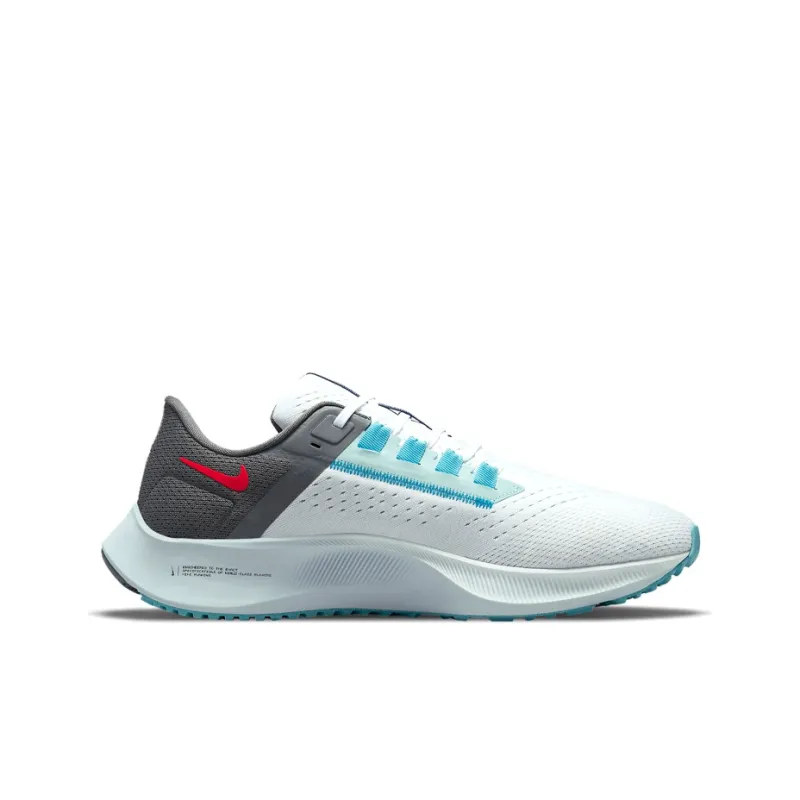 Nike Air Zoom Pegasus 38 Le Greedy-1