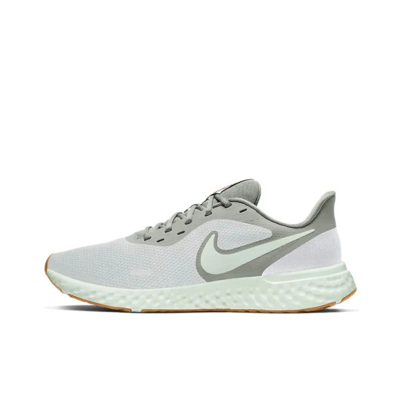 Nike Revolution 5 Platinum Tint Grey Fog-0