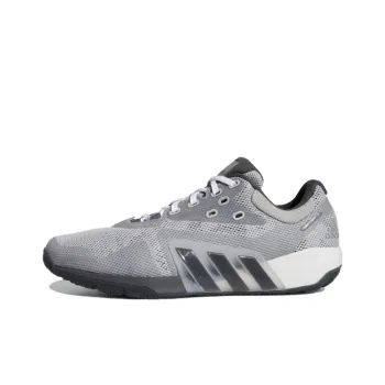 Adidas Dropset 'Grey'