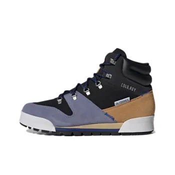 Terrex Snowpitch Adidas Cold.RDY 'Black Orbit Violet'