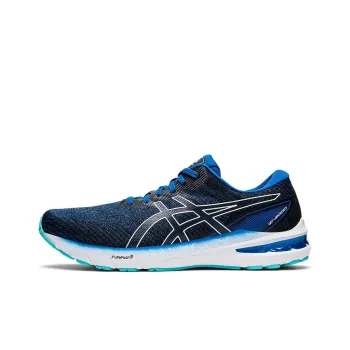Asics GT 2000 10 2E Wide 'Lake Drive'